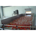 Fruits industriels Lavage et séchage des légumes
